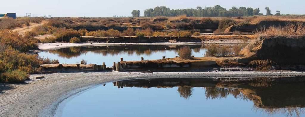 Sendero Salinas de Bacuta (Huelva)