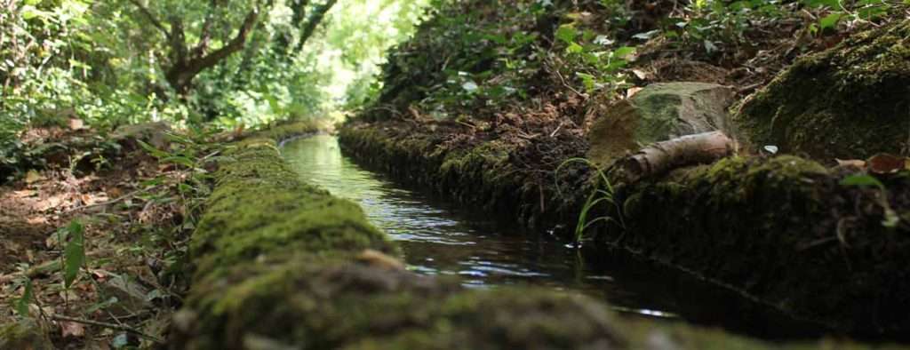 Sendero Ribera de Jabugo (Huelva)