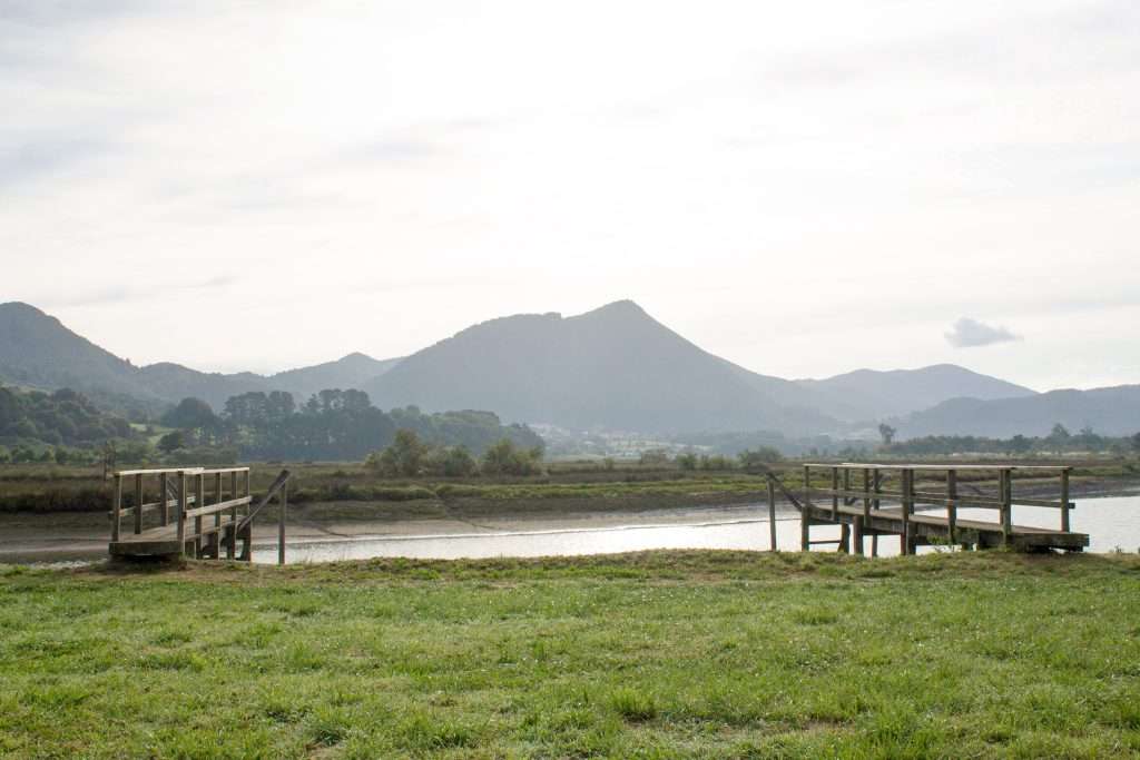 estuario urdaibai