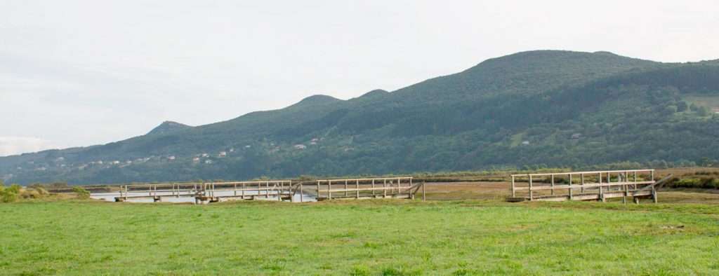 Guia Urdaibai Pais Vasco