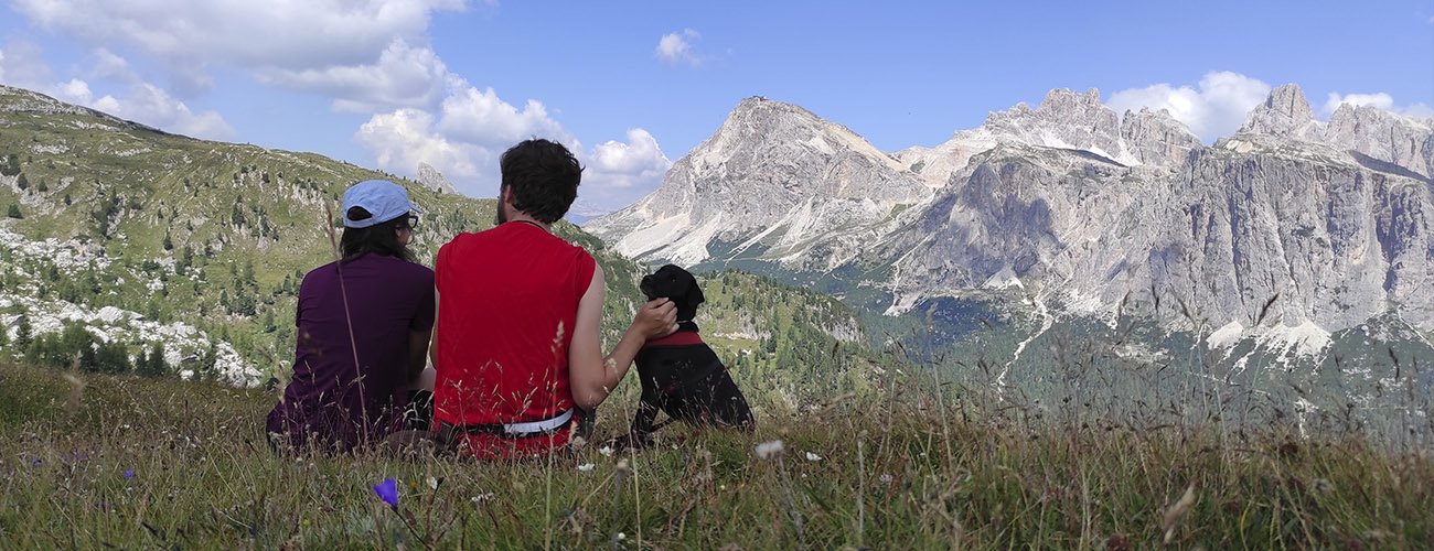 Mejores destinos para viajar con tu perro por España